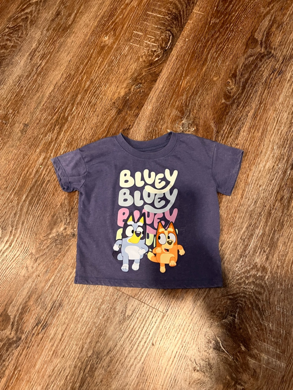Toddler Bluey Graphic Tee